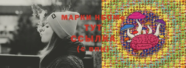 крисы Михайловск