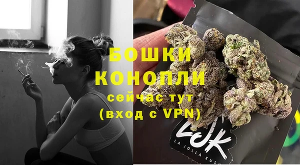 крисы Михайловск