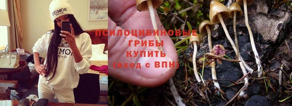 крисы Михайловск