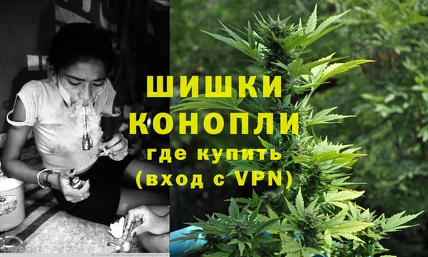 крисы Михайловск
