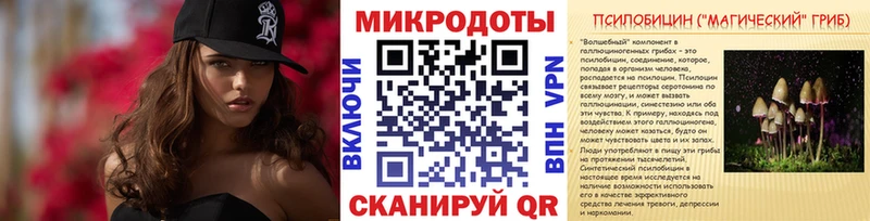 Купить  Россошь  Псилоцибиновые грибы Psilocybine cubensis 